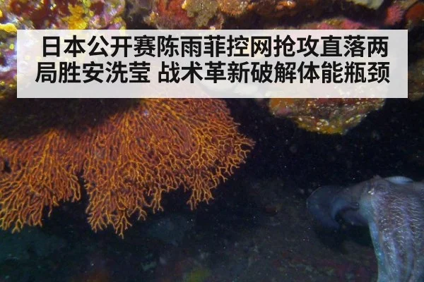 日本公开赛陈雨菲控网抢攻直落两局胜安洗莹 战术革新破解体能瓶颈 - nine game