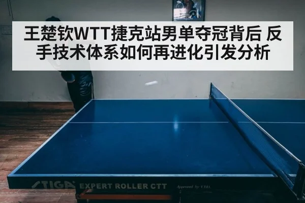table tennis tactical play