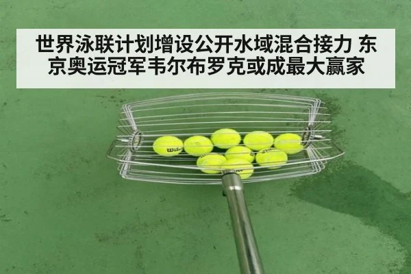 世界泳联计划增设公开水域混合接力 东京奥运冠军韦尔布罗克或成最大赢家 | nine game